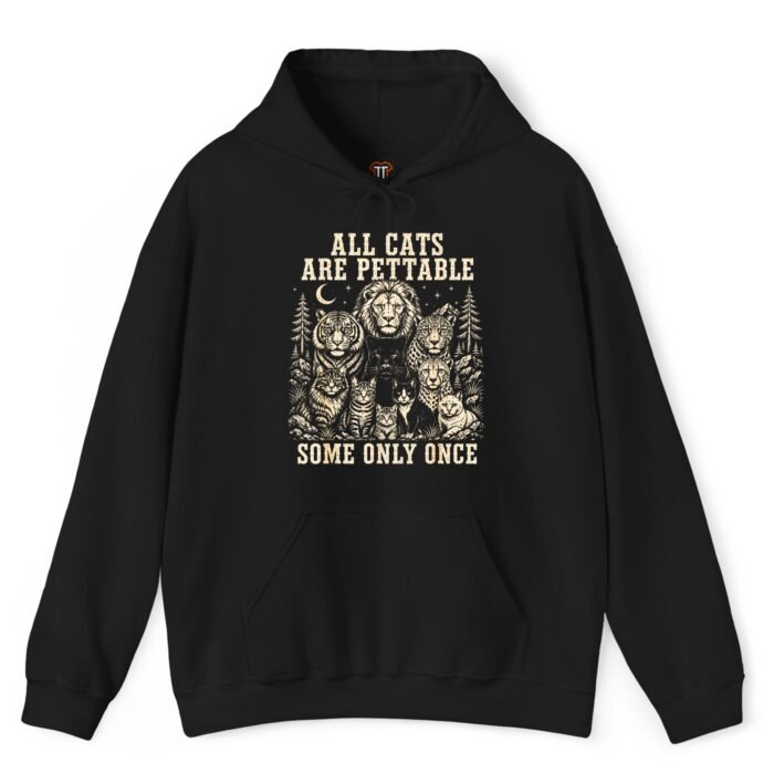 All Cats Are Pettable Some Only Once Hoodie All Cats Are Pettable Some Only Once Hoodie