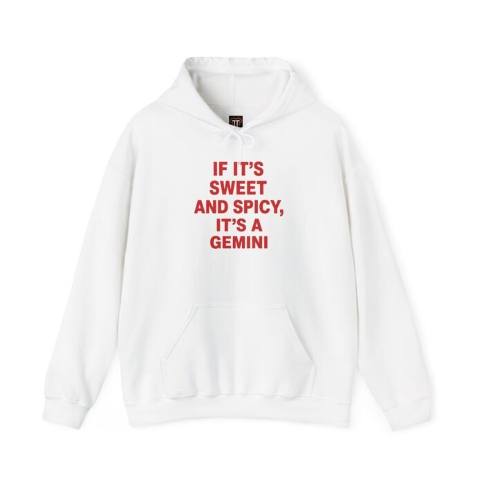 If It's Sweet and Spicy It's a Gemini Hoodie If It's Sweet and Spicy It's a Gemini Hoodie