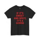 If It's Sweet and Spicy It's a Gemini Shirt