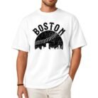 Vintage Boston Baseball Skyline Shirt